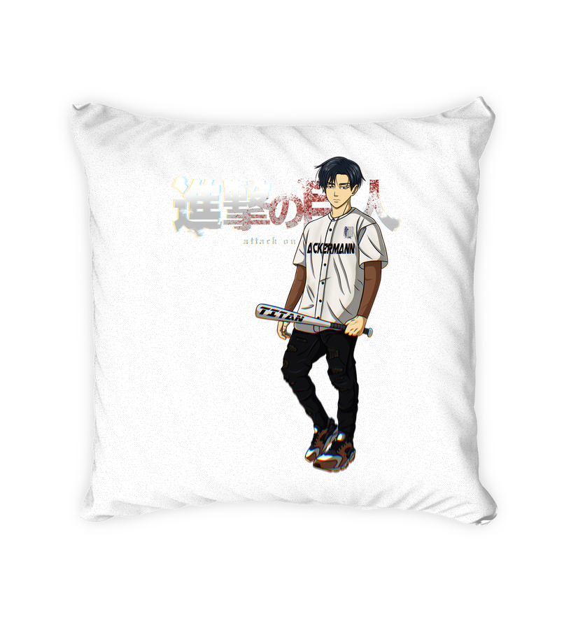  coussin manga